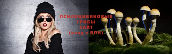 спиды Алзамай