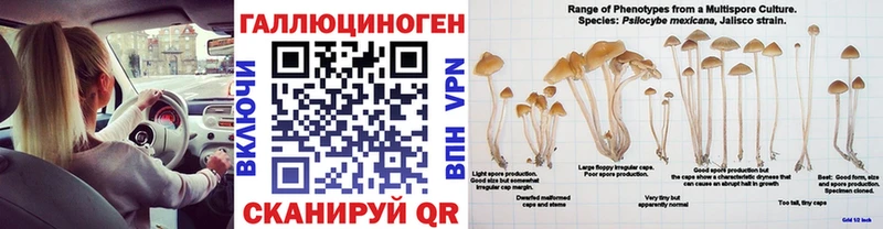 Галлюциногенные грибы Cubensis Славск