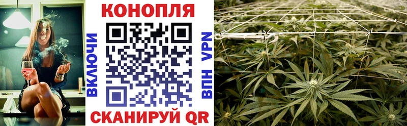 Бошки Шишки White Widow  ОМГ ОМГ сайт  Славск  продажа наркотиков 